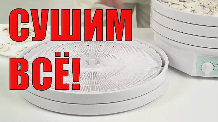 Электрическая сушилка для овощей и фруктов, мяса и трав Ezidri Ultra FD1000